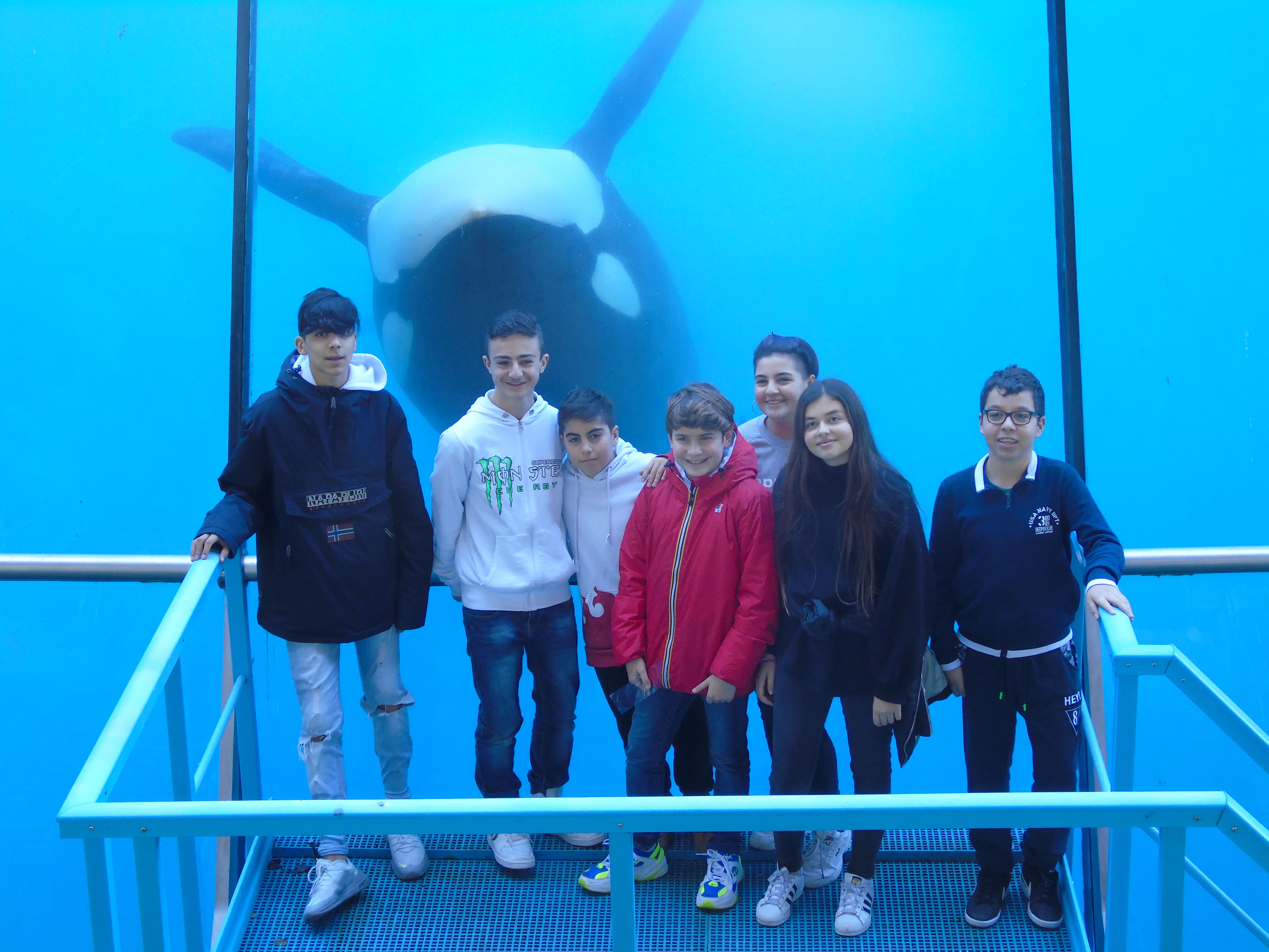 Marineland 2019